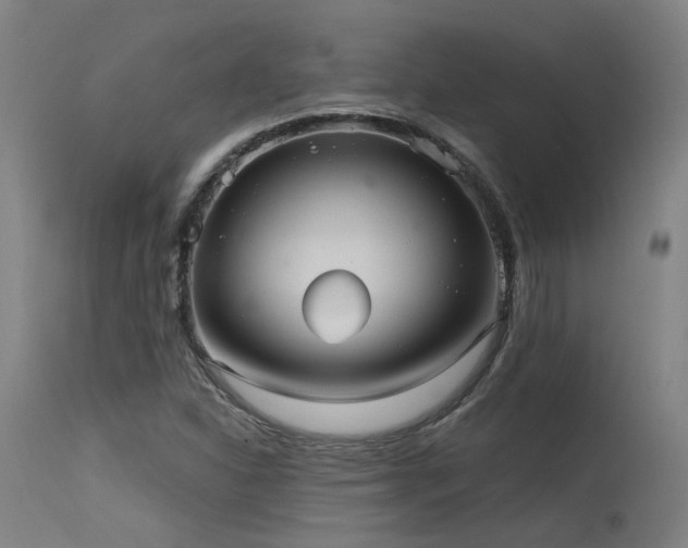 X0000115651310200911101530