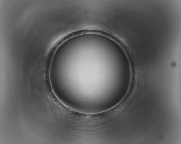 X0000115651311200911101530