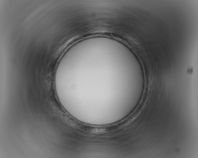X0000115651313200911101530