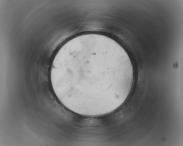 X0000115651314200911101530