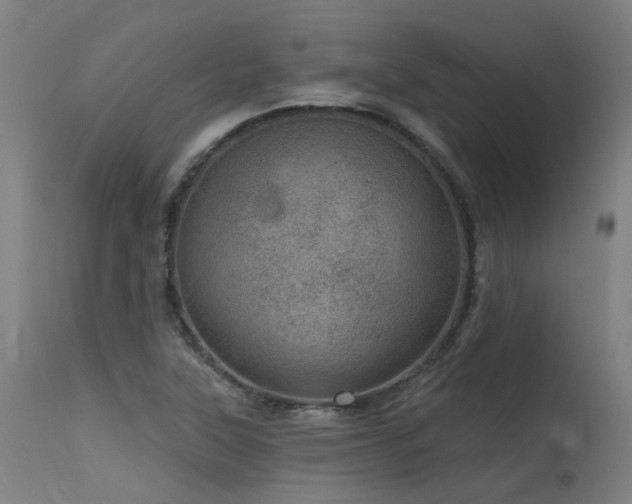 X0000115651315200911101530