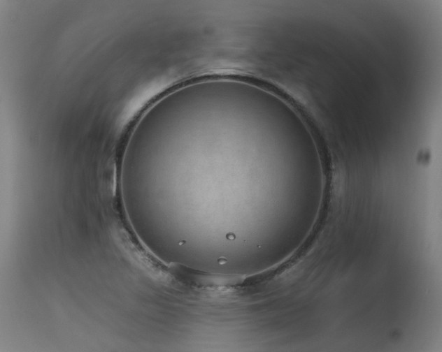 X0000115651317200911101530