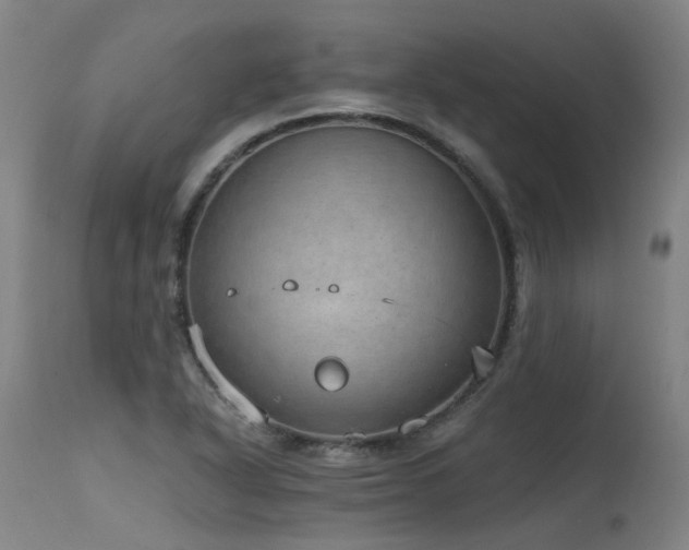 X0000115651318200911101530