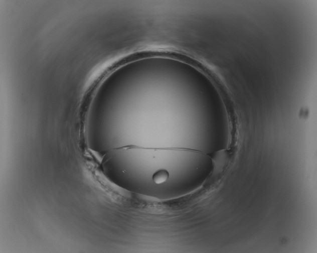 X0000115651319200911101530