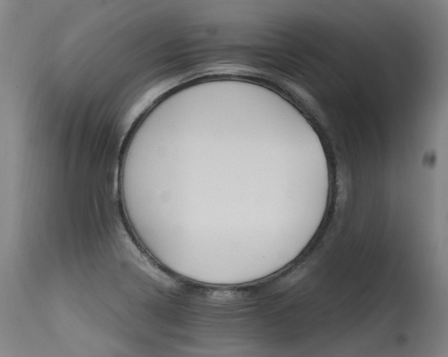 X0000115651322200911101530
