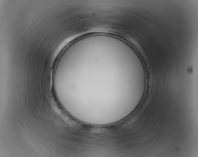 X0000115651323200911101530