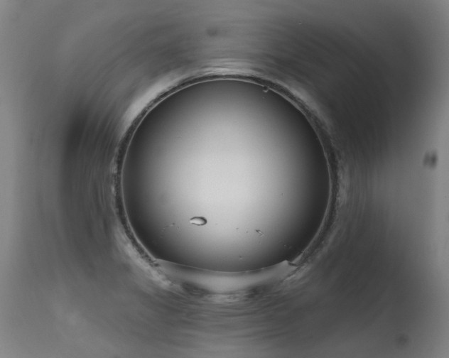X0000115651325200911101531