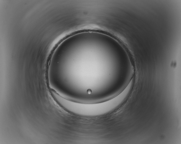 X0000115651326200911101531