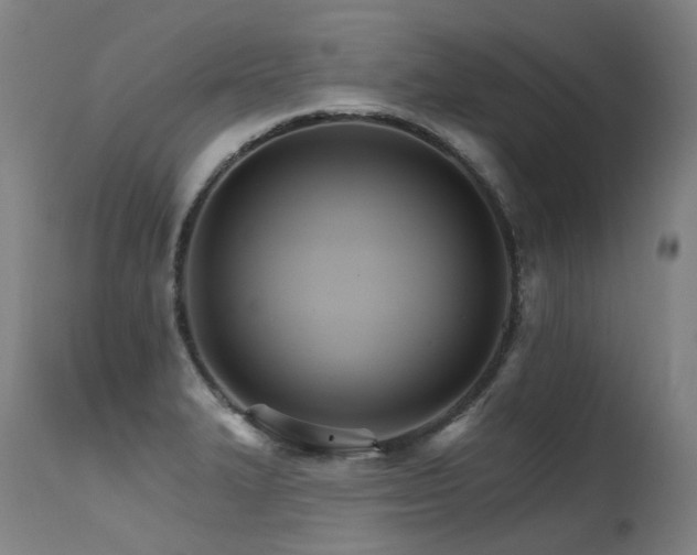 X0000115651327200911101531