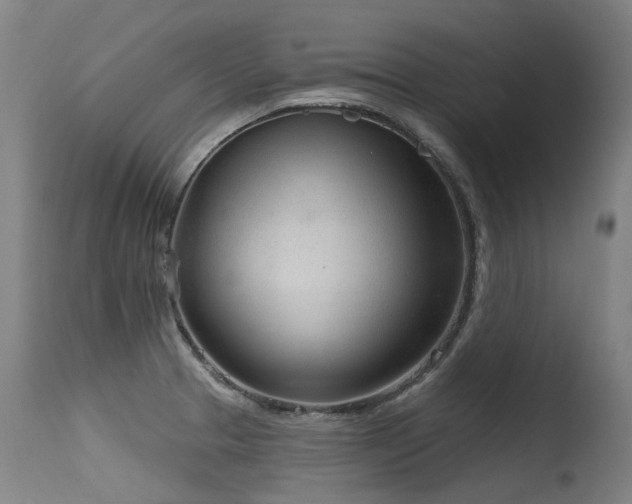 X0000115651329200911101531