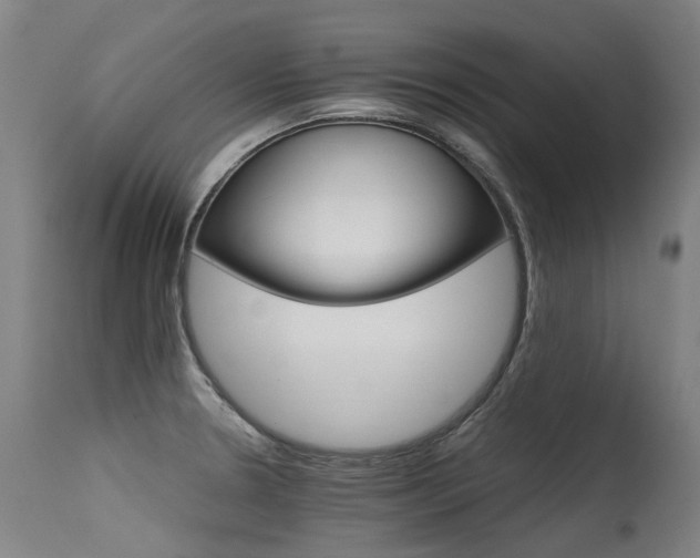 X0000115651330200911101531