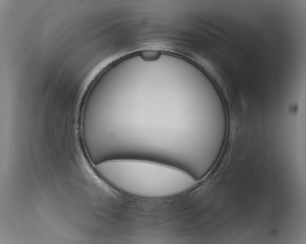 X0000115651331200911101531