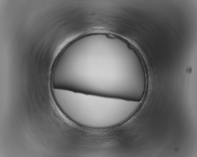 X0000115651333200911101531