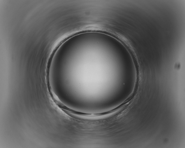 X0000115651334200911101531