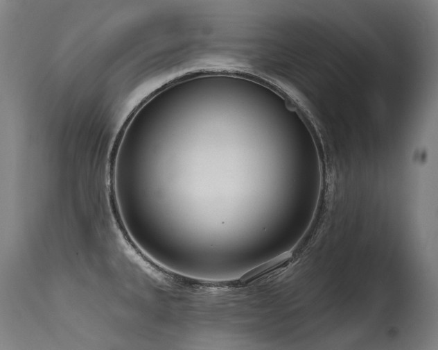 X0000115651335200911101531