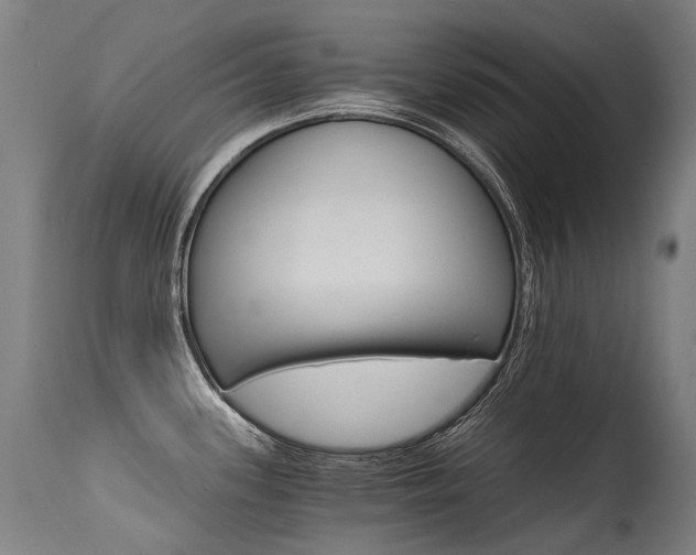 X0000115651339200911101531