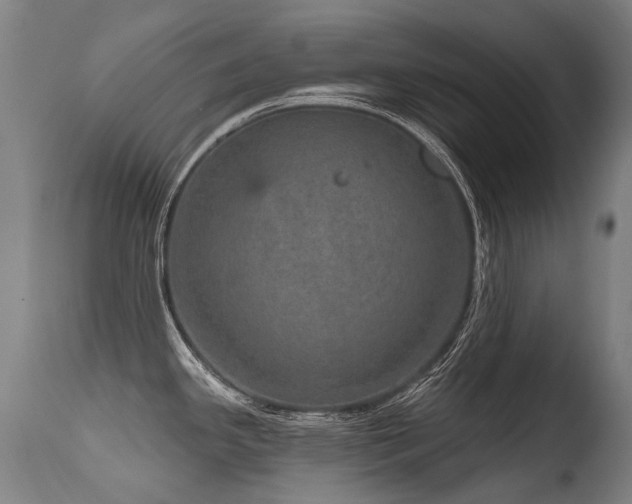 X0000115651341200911101531