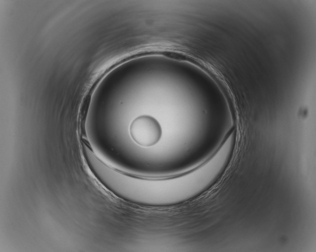 X0000115651342200911101531