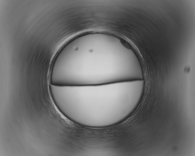 X0000115651343200911101531
