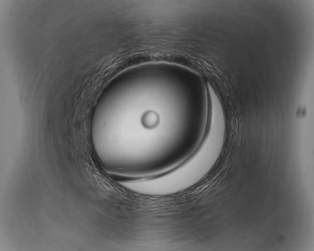 X0000115651345200911101530