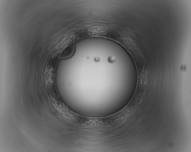 X0000115651346200911101530