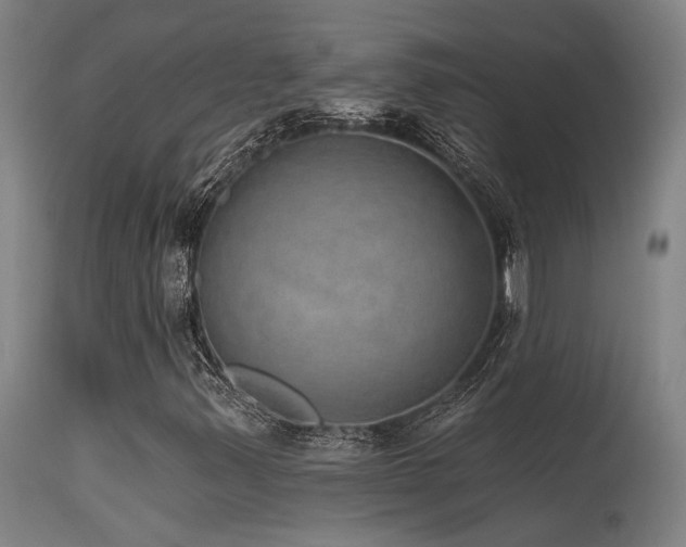 X0000115651347200911101530