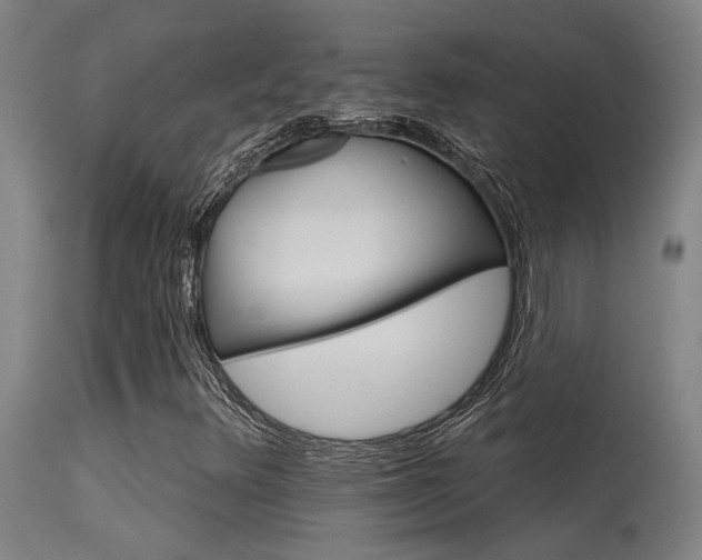 X0000115651348200911101530
