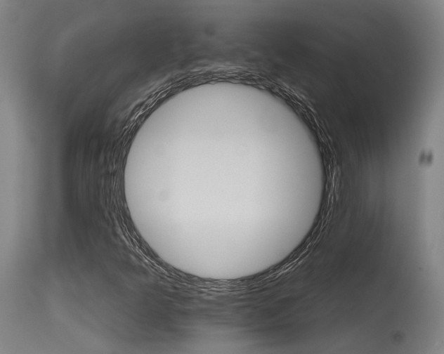 X0000115651349200911101530