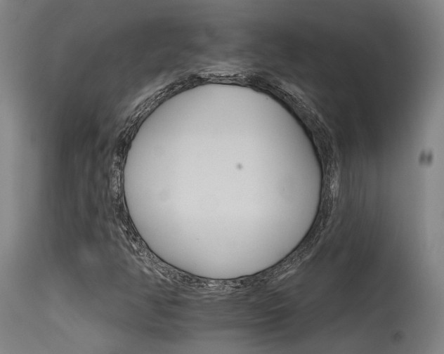 X0000115651350200911101530