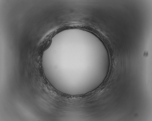 X0000115651351200911101530