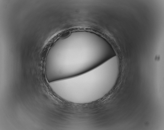 X0000115651352200911101530