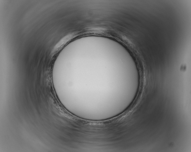 X0000115651354200911101530
