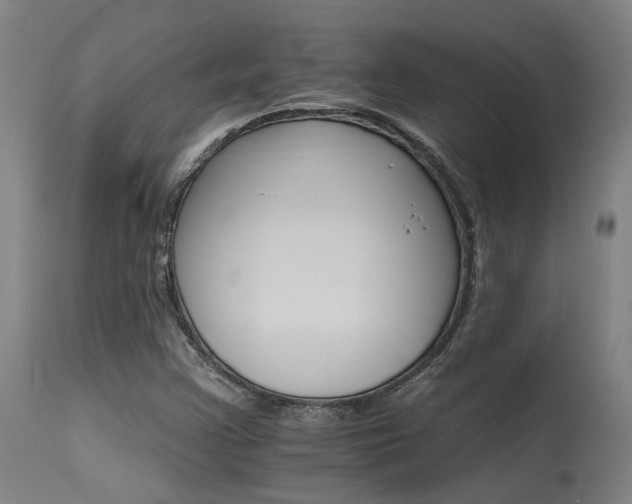X0000115651355200911101530
