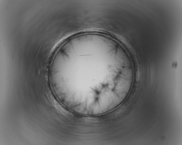 X0000115651356200911101530