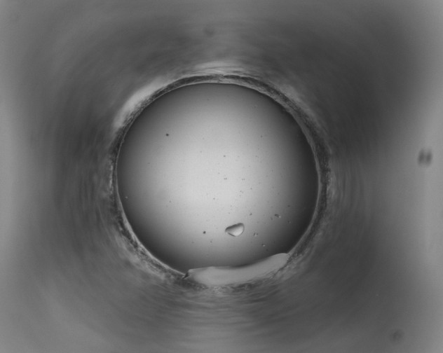 X0000115651358200911101530