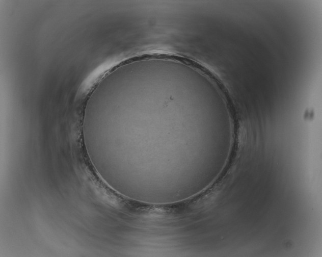 X0000115651359200911101530