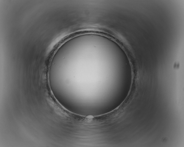 X0000115651360200911101530