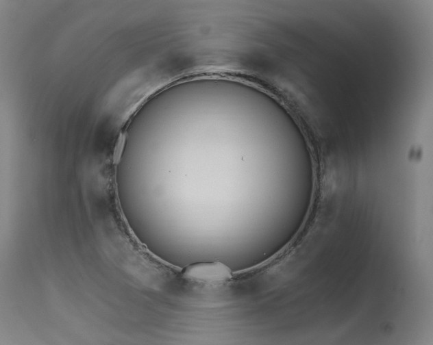 X0000115651361200911101530