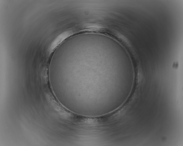 X0000115651362200911101530