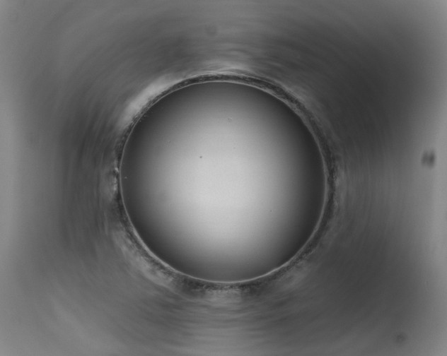 X0000115651363200911101530