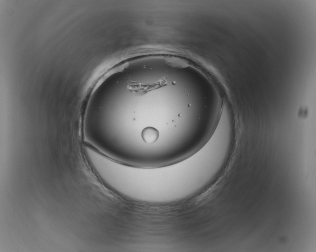 X0000115651365200911101530