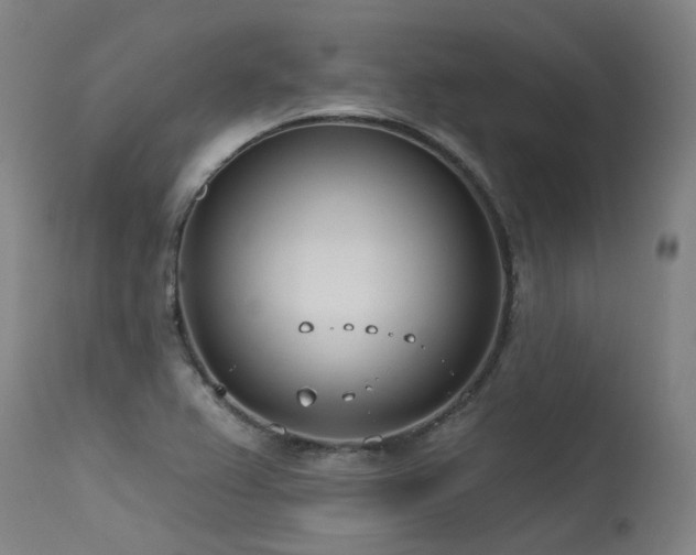 X0000115651367200911101530