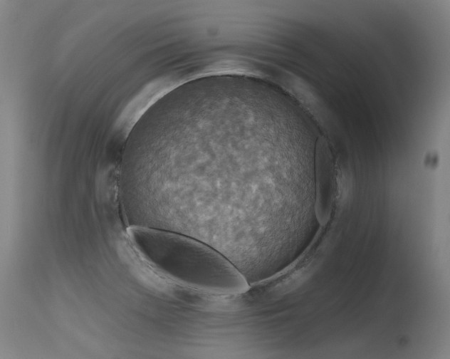 X0000115651369200911101530