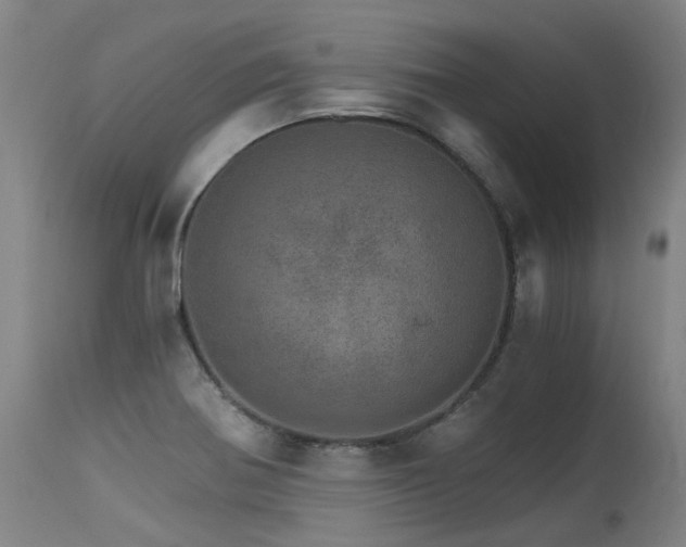 X0000115651370200911101530