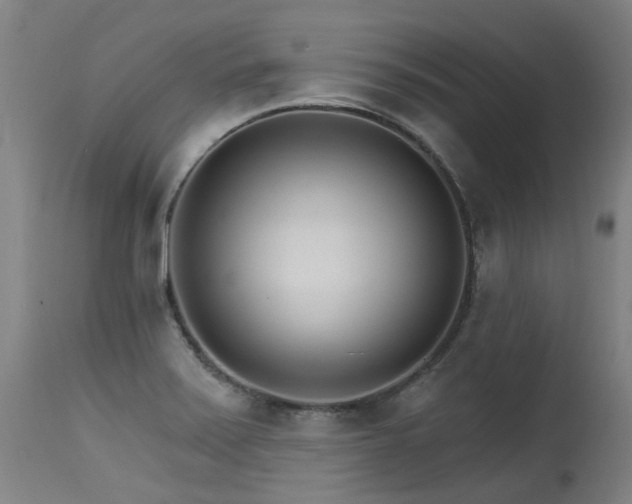 X0000115651371200911101530