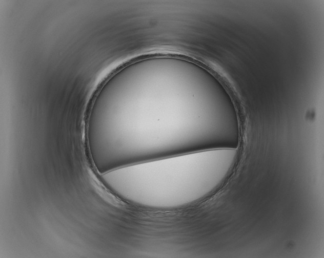 X0000115651372200911101530