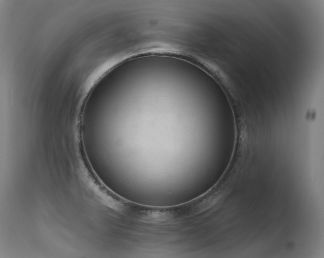 X0000115651375200911101530