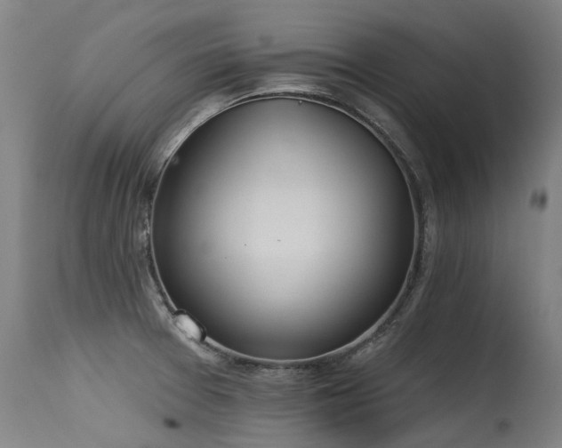 X0000115651377200911101530