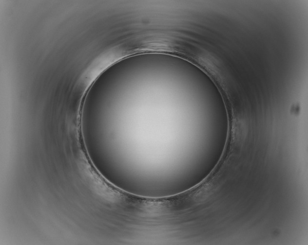 X0000115651378200911101529