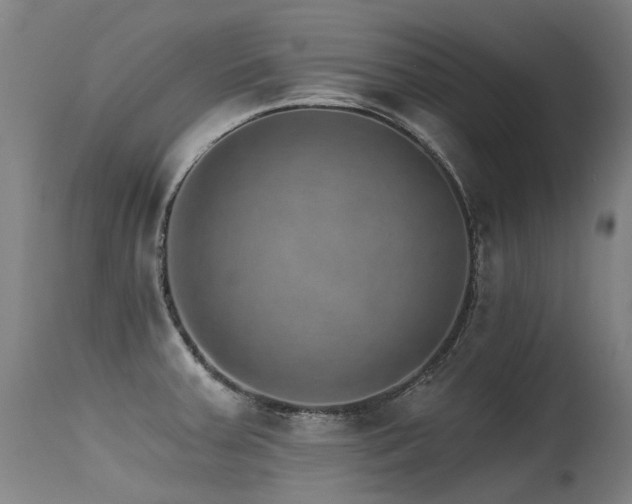 X0000115651379200911101529